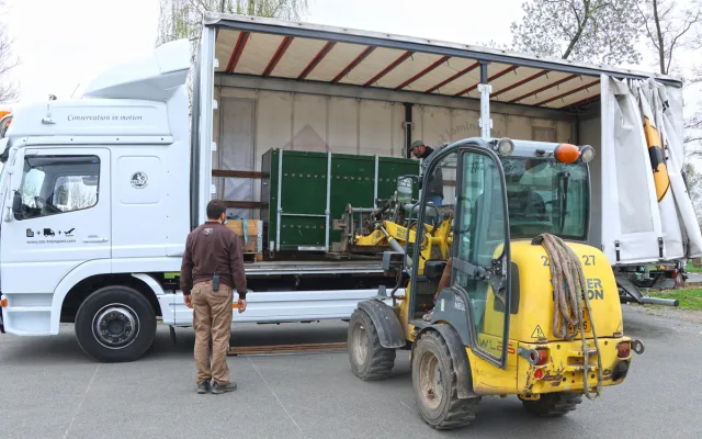 Tři sestry odjely do belgické zoo. Mladé lvice se tam zapojí do dalšího chovu