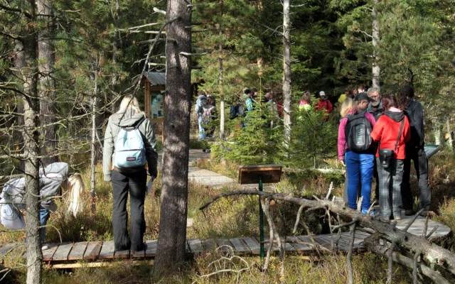 Přírodní rezervace v Českém lese už přes 50 let chrání vzácná rašeliniště