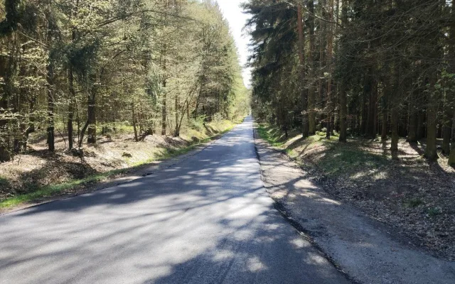 Cesta ke Kokotské studánce