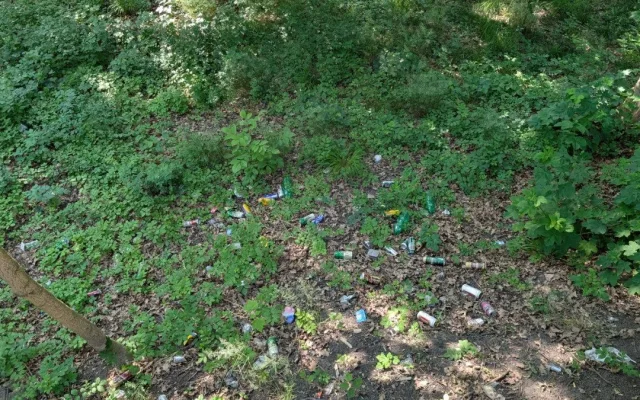 Zapařený pytel mrkve a stříkačky, Papírenský park znovu zaplňují odpadky