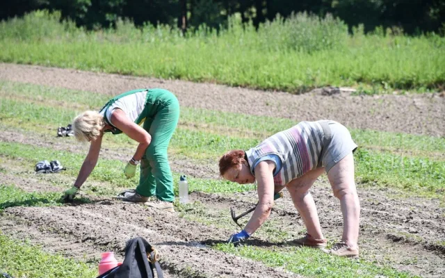 V lesní školce využívají speciální systém závlahy, stromy jsou pak odolnější