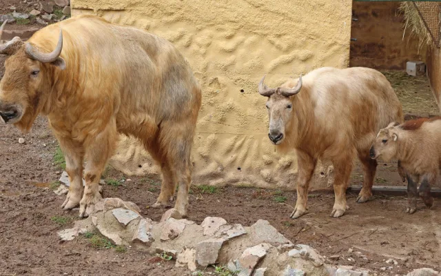 Takiní rodinka loni v září.