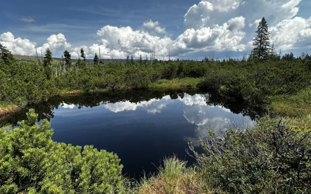 Objevte malý šumavský Yellowstone. Úžasný výlet k jezírkům v Bavorském lese si užijete bez davů