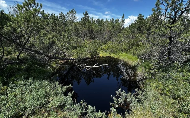 Objevte malý šumavský Yellowstone. Úžasný výlet k jezírkům v Bavorském lese si užijete bez davů