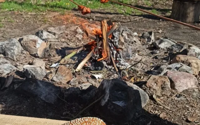 Veřejné ohniště můžete najít také na Božkovském ostrově