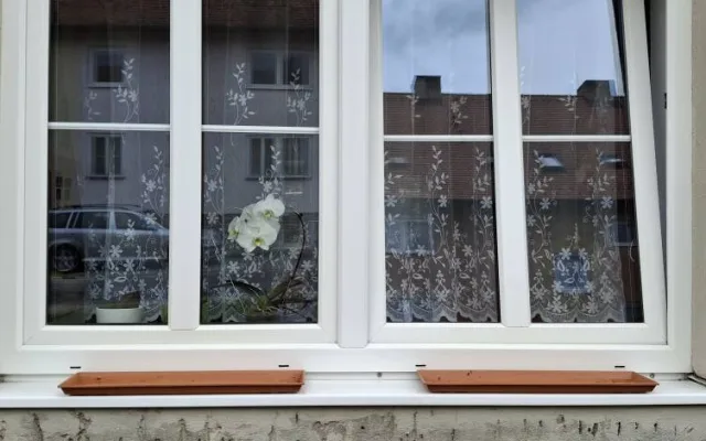 Záhada mizejících květináčů. Vandalové rozhazují rostliny po okolí nebo nosí lidem cizí truhlíky