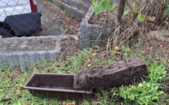 Záhada mizejících květináčů. Vandalové rozhazují rostliny po okolí nebo nosí lidem cizí truhlíky