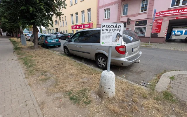 Problémový ječmen se letos rozrostl na řadě míst.