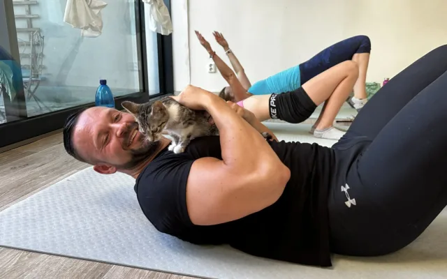Nekonečná roztomilost při cvičení jógy s koťaty. Některá z nich našla i nový domov