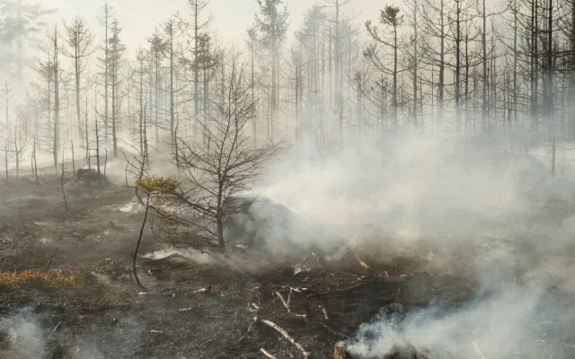 Ve vojenském prostoru v Brdech vypukl požár, hasiči využili i vrtulník