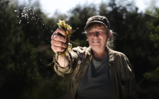 Šumava jsou hory vod a mokřadů, miluji tuhle krajinu, říká oceňovaná odbornice