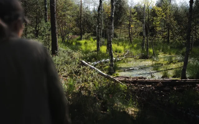 Šumava jsou hory vod a mokřadů, miluji tuhle krajinu, říká oceňovaná odbornice