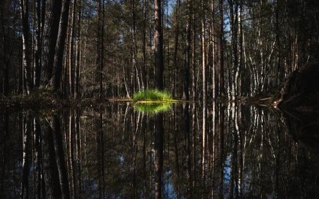 Šumava jsou hory vod a mokřadů, miluji tuhle krajinu, říká oceňovaná odbornice