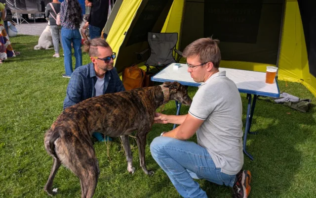 Akce jako Psí den pomáhají psům z útulku najít nový domov