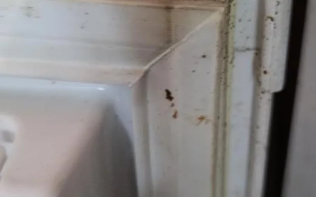 Naprosto nepřijatelná hygiena, inspekce uzavřela asijské bistro před bývalým Priorem