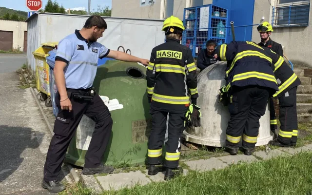 Koťata hodil do popelnice mezi střepy, všechna uhynula. Muž si vyjednal podmínku