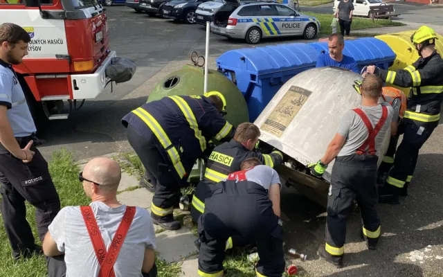 Koťata hodil do popelnice mezi střepy, všechna uhynula. Muž si vyjednal podmínku