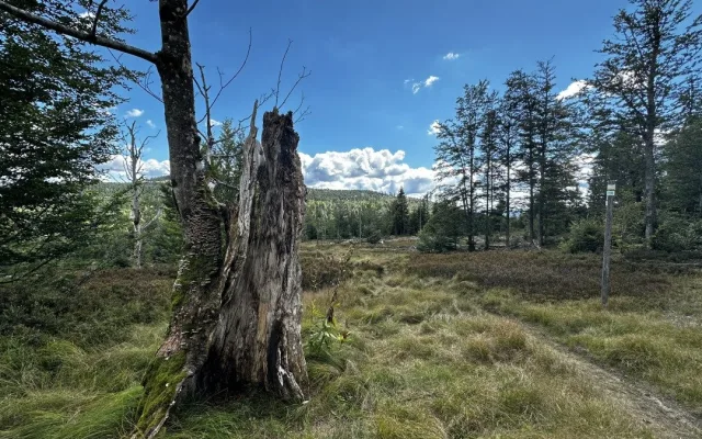 O krásná místa nebude během cesty nouze
