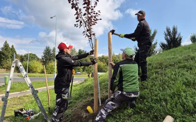 Slavného růžového králíka obklopí květiny, záhonům budou vévodit růže