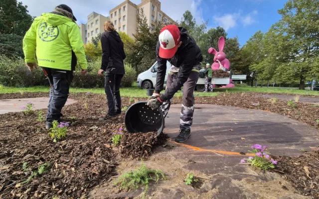 Slavného růžového králíka obklopí květiny, záhonům budou vévodit růže