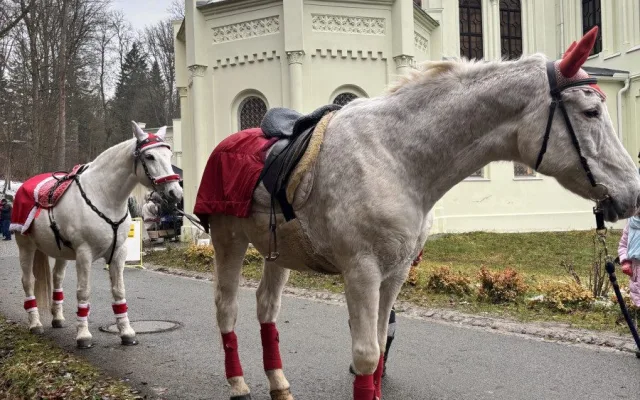 Jízdárna nabídne adventní prohlídky i vánoční trh