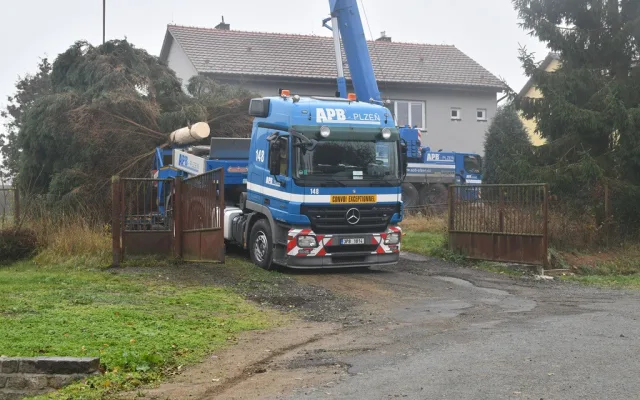 Vánoční strom pro Plzeň už cestuje ze Stodu na náměstí Republiky. Přijede večer