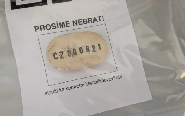 V Plzni vzniklo místo, kde se lidé mohou důstojně rozloučit se svými mazlíčky