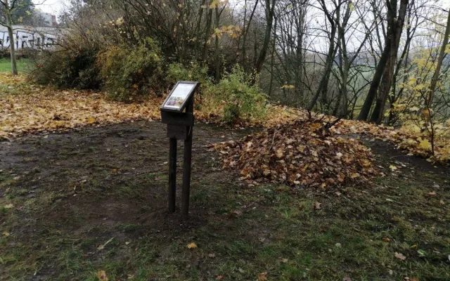 Hromádky listí a větviček poslouží ježkům jako zimoviště, připravil je centrální obvod