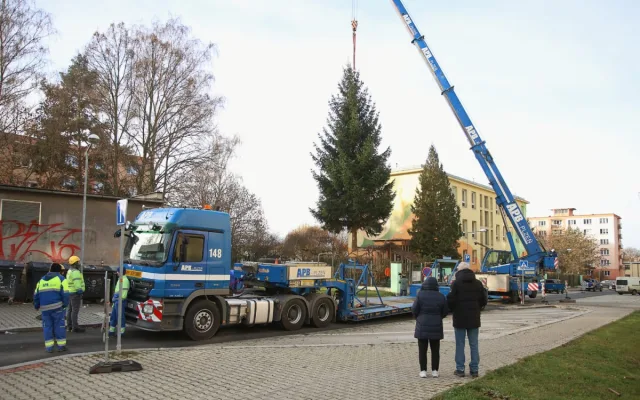 FOTO: Čtyřka už má na místě letošní vánoční strom. Podívejte se na jeho převoz