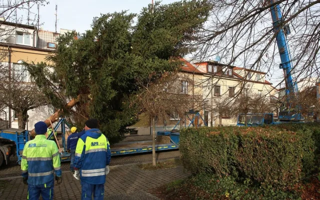 FOTO: Čtyřka už má na místě letošní vánoční strom. Podívejte se na jeho převoz