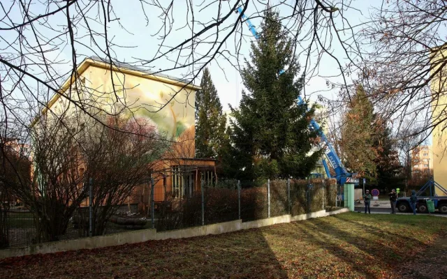 FOTO: Čtyřka už má na místě letošní vánoční strom. Podívejte se na jeho převoz