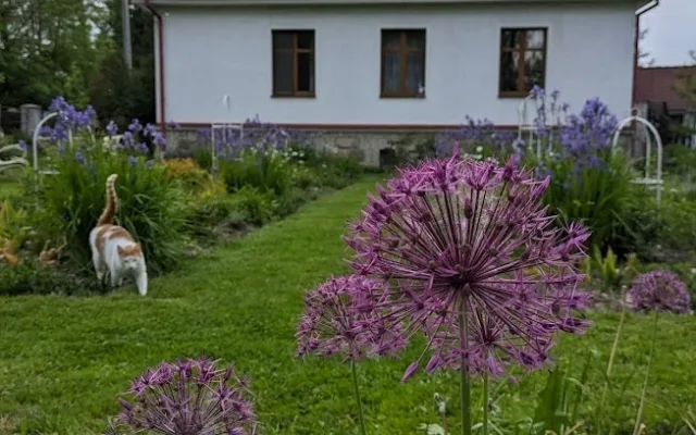 Prvorepubliková zahrada z Klatovska uspěla v Evropských cenách za eko zahradničení