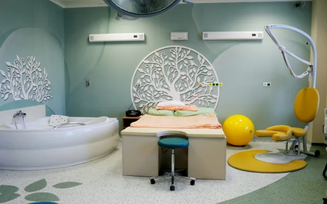 V plzeňské porodnice přišlo loni na svět 2,5 tisíce dětí. Nejmenším byl chlapec s váhou 700 gramů