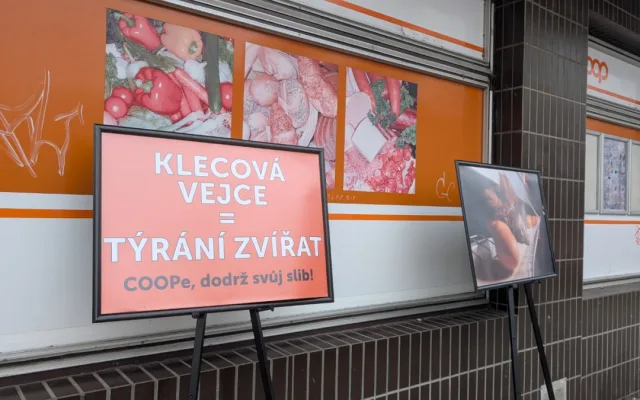 Ochránci zvířat protestovali v Plzni kvůli prodeji vajec z klecového chovu