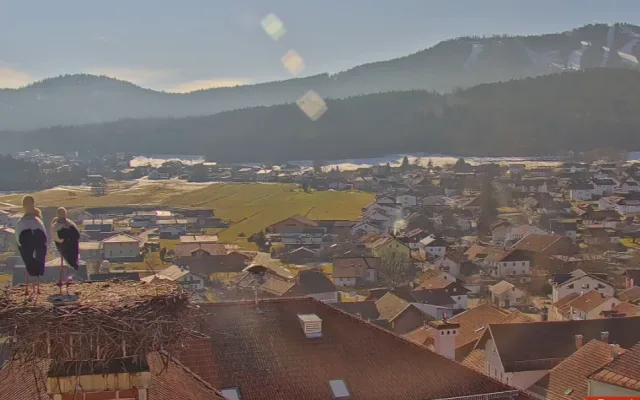První čápi se vracejí ze zimovišť. Jeden pár má výhled na zasněženou sjezdovku