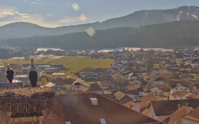 První čápi se vracejí ze zimovišť. Jeden pár má výhled na zasněženou sjezdovku