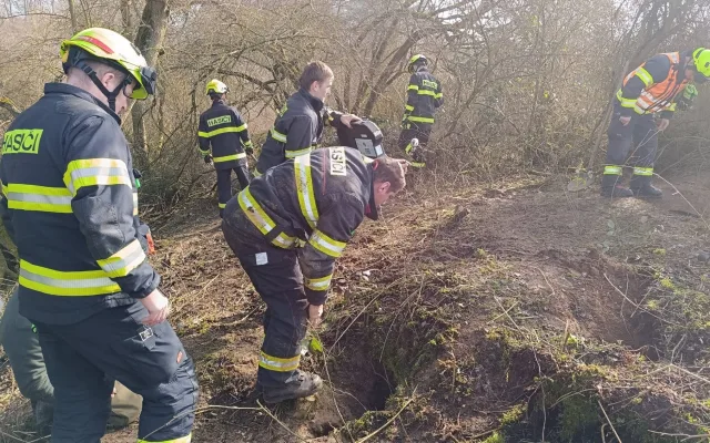 Hasiči bojují o život loveckého psa, který zmizel v jezevčí noře. Pomáhá jim i bagr