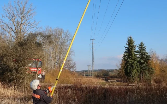 Sýkora visela na vlasci z drátů vysokého napětí. Na pomoc vyjížděli hasiči i energetici