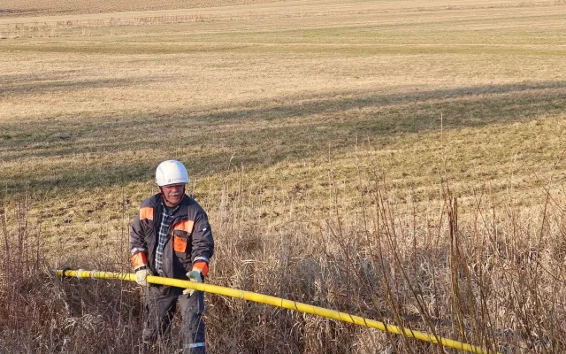 Sýkora visela na vlasci z drátů vysokého napětí. Na pomoc vyjížděli hasiči i energetici