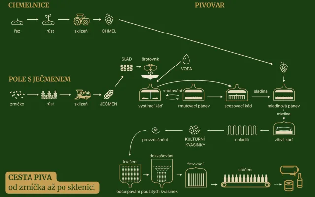 Cesta piva