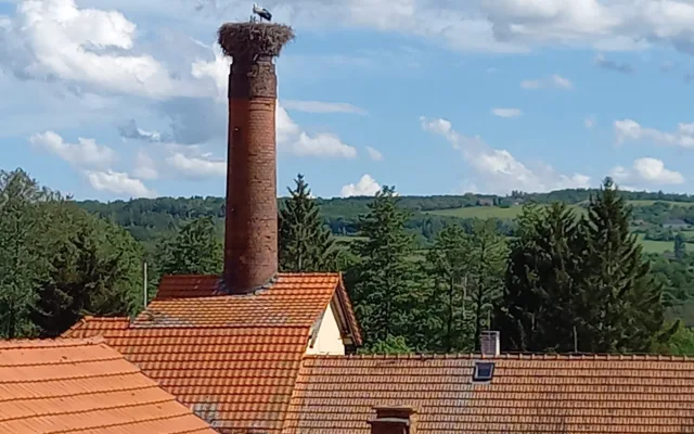 Spálenopoříčský čáp, zdroj: Spálené Poříčí