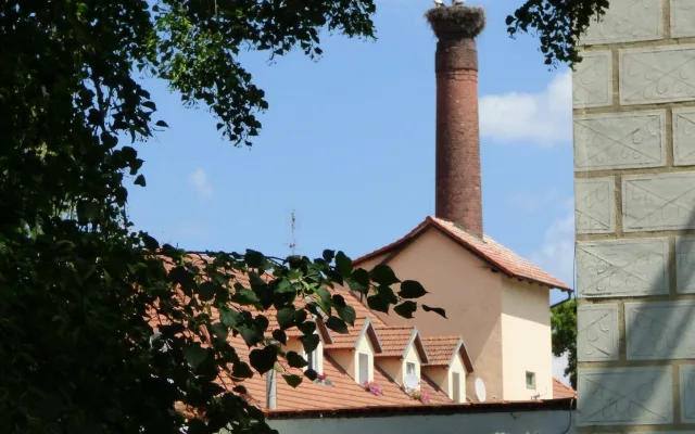 Spálenopoříčský čáp, zdroj: Spálené Poříčí