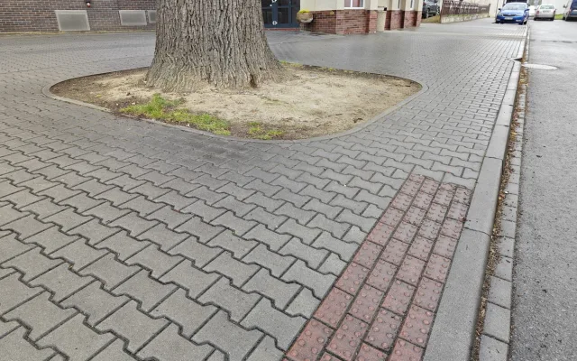 Památkově chráněný stoletý dub chřadne, město bojuje o jeho záchranu