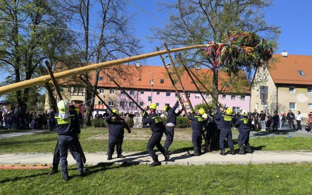 Neuhlídali májku a případ nahlásili policii, město schytává drsnou kritiku