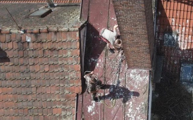 Adopce na hnízdě v Dobřanech