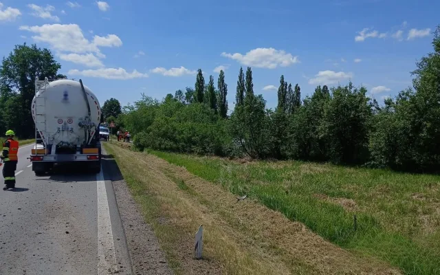 Po střetu s kamionem zmizelo odražené auto v hustém porostu, kde přerazilo strom