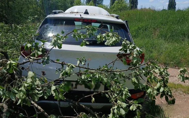 Po střetu s kamionem zmizelo odražené auto v hustém porostu, kde přerazilo strom