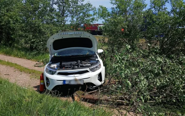 Po střetu s kamionem zmizelo odražené auto v hustém porostu, kde přerazilo strom