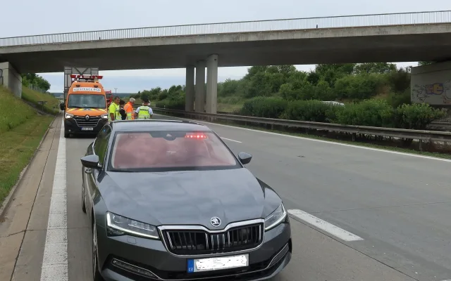 Dramatická záchranná akce na dálnici D5. Zraněného daňka lovili mezi svodidly