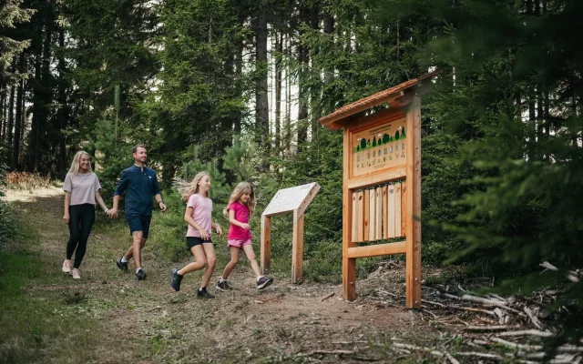Zažijte hudební léto i animace na Lipně